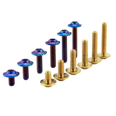 Şuruburi cu cap disc M6 din aliaj de titan