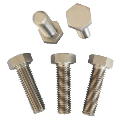 Șuruburi GR1 din aliaj de titan