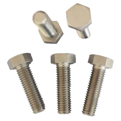 Șuruburi GR1 din aliaj de titan