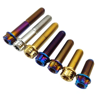 TC4 șuruburi Torx din aliaj de titan